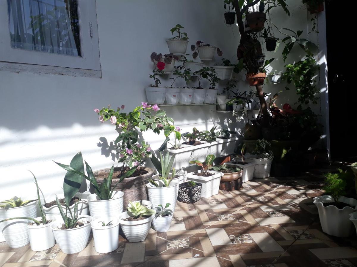 Bumimi Homestay Painan Екстериор снимка