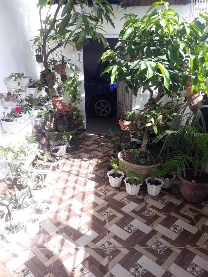 Bumimi Homestay Painan Екстериор снимка