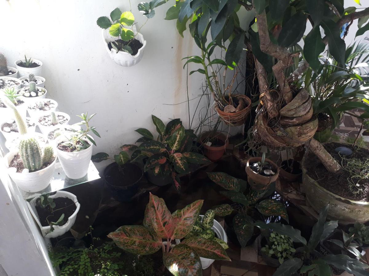 Bumimi Homestay Painan Екстериор снимка